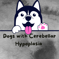 Dogs with Cerebellar Hypoplasia